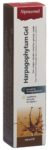 ALPINAMED Teufelskrallen Gel Tb 100 ml