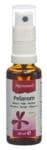 ALPINAMED Pelarom Pelargonium Spray 30 ml