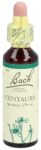 BACH-BLÜTEN Original Centaury No04 20 ml