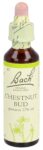 BACH-BLÜTEN Original Chestnut Bud No07 20 ml