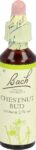 BACH-BLÜTEN Original Chestnut Bud No07 20 ml