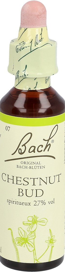 BACH-BLÜTEN Original Chestnut Bud No07 20 ml