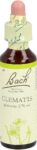 BACH-BLÜTEN Original Clematis No09 20 ml