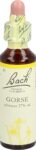 BACH-BLÜTEN Original Gorse No13 20 ml