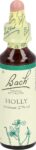 BACH-BLÜTEN Original Holly No15 20 ml