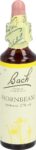 BACH-BLÜTEN Original Hornbeam No17 20 ml