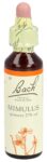 BACH-BLÜTEN Original Mimulus No20 20 ml