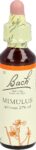 BACH-BLÜTEN Original Mimulus No20 20 ml