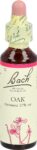 BACH-BLÜTEN Original Oak No22 20 ml