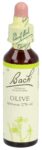 PICFRONT3D BACH-BLÜTEN Original Olive No23 20 ml