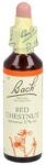 PICFRONT3D BACH-BLÜTEN Original Red Chestnut No25 20 ml