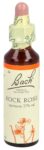 BACH-BLÜTEN Original Rock Rose No26 20 ml