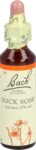 BACH-BLÜTEN Original Rock Rose No26 20 ml