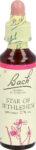 BACH-BLÜTEN Original Star of Bethlehem No29 20 ml