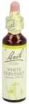 BACH-BLÜTEN Original White Chestnut No35 20 ml