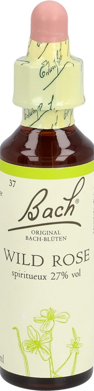 BACH-BLÜTEN Original Wild Rose No37 20 ml