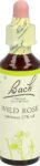 BACH-BLÜTEN Original Wild Rose No37 20 ml