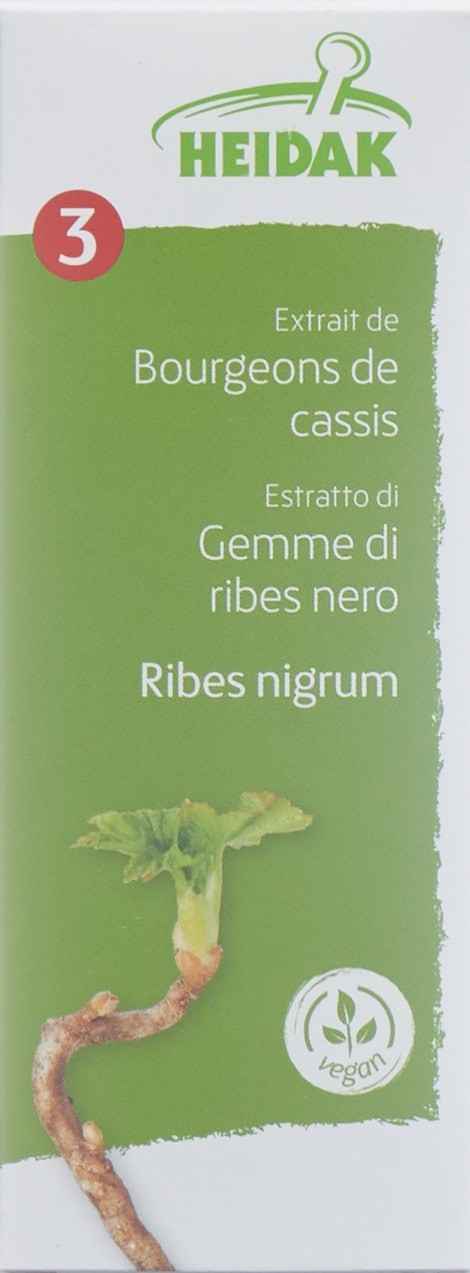 HEIDAK Knospe Johannisb Ribes nigr Glyc Maz 30 ml