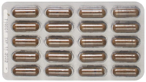 CONTENTFRONT PADMA HEPATEN Kaps 60 Stk