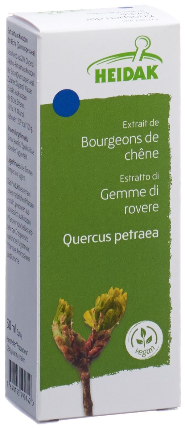HEIDAK Knospe Eiche Quercus petra Glyc Maz 30 ml
