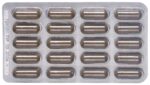 PADMA ACTIVE Kaps 100 Stk
