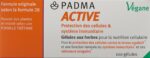PADMA ACTIVE Kaps 100 Stk