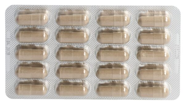 DÜNNER Teufelskralle Kaps 60 Stk