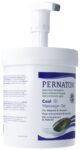 PERNATON Gel mit Pumpe Ds 1 kg