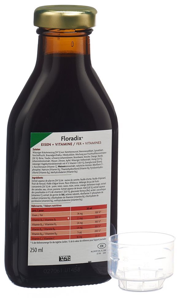 CONTENTBACK FLORADIX Eisen + Vitamine Fl 250 ml