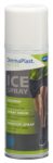 DERMAPLAST Active Ice Spray 200 ml