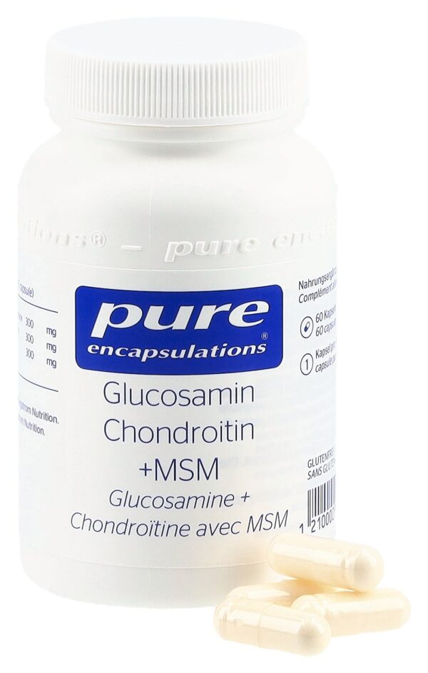 PURE Glucosamin Chondroitin Kaps Ds 60 Stk